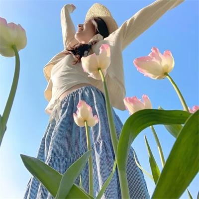宫锁金枝