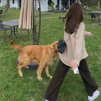 保姆俱乐部第一季